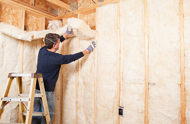 Best Attic Insulation Installation in Oxford, OH